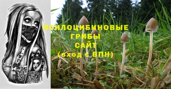 ECSTASY Алексин